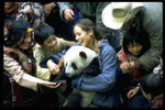 panda3a.jpg (6572 bytes) 